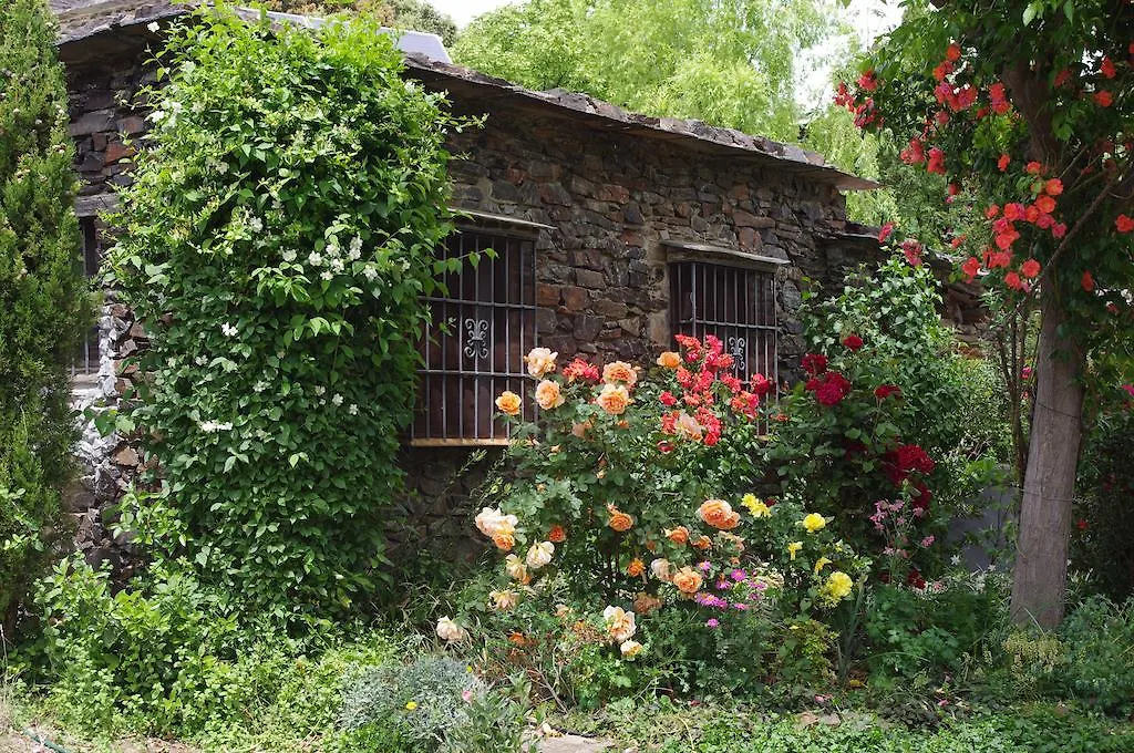 Cortijo Prado Toro Apartment Pitres